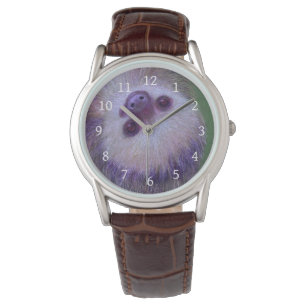 Sloth Watch