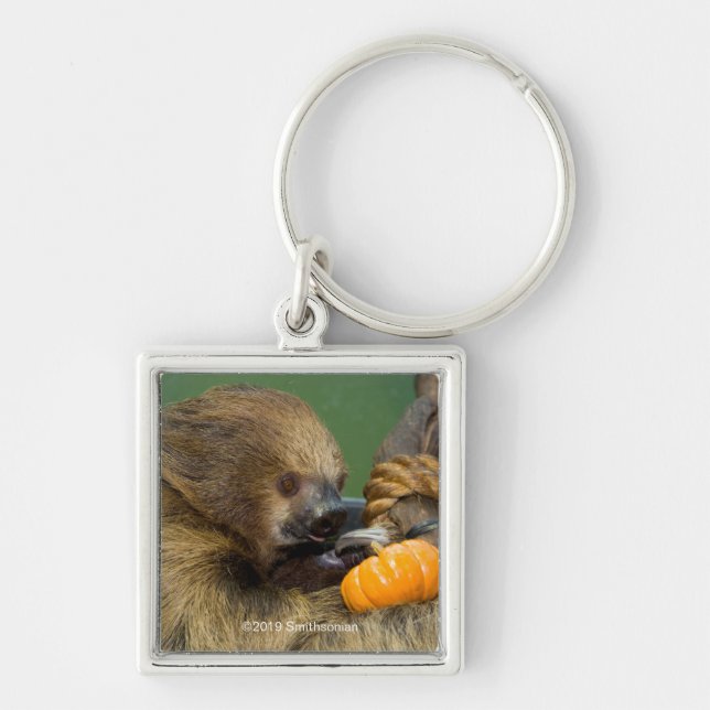Sloth with Pumpkin Key Ring (Front)