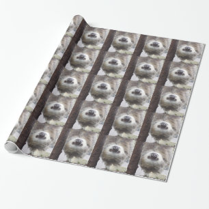 Sloth Wrapping Paper