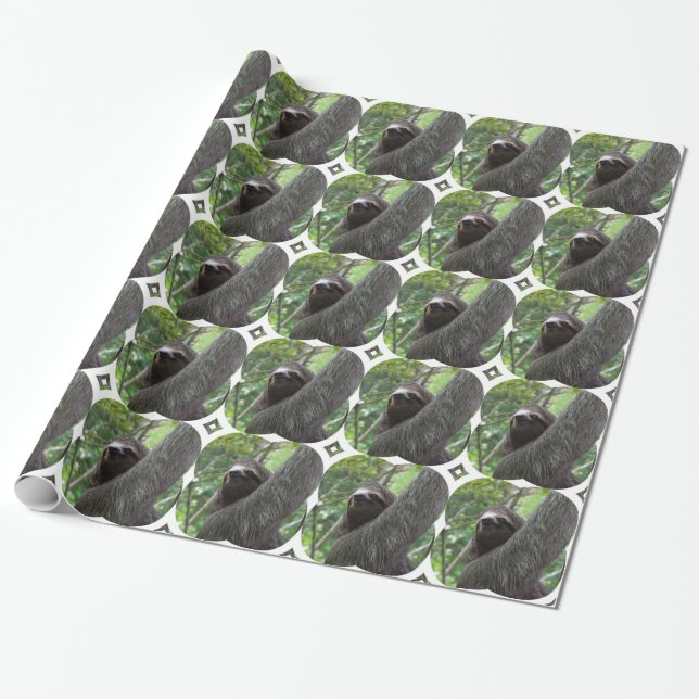 Sloth Wrapping Paper (Unrolled)