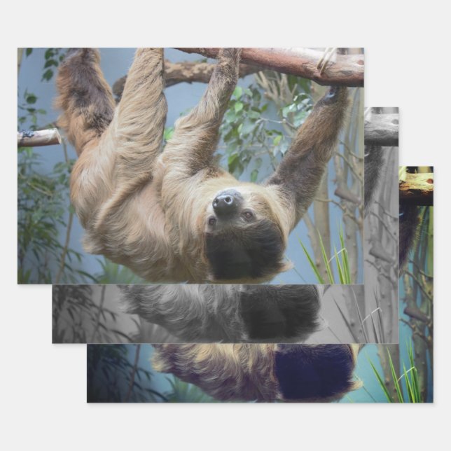 Sloth Wrapping Paper Sheet (Set)