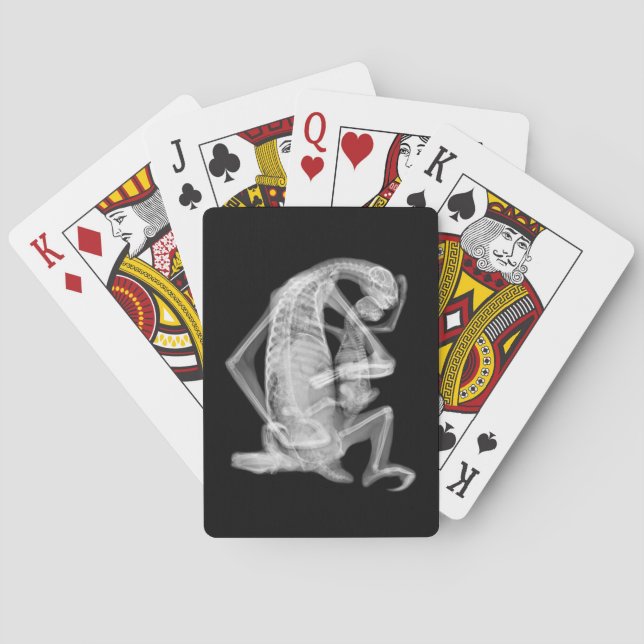 Sloth Xray Love Playing Cards (Back)