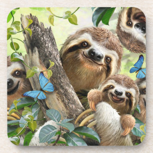 sloths background coaster