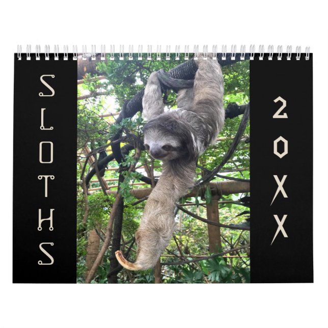 Sloths Calendar (Cover)