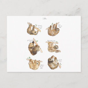 Sloths Classic  Holiday Postcard
