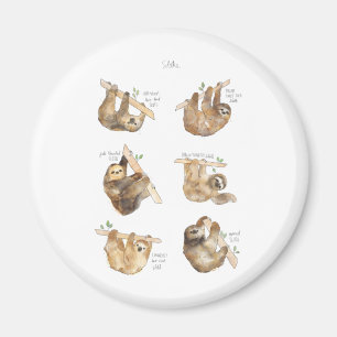 Sloths Classic Magnet