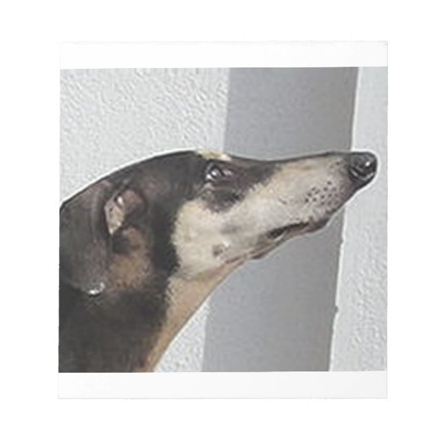 sloughi.png notepad (Front)