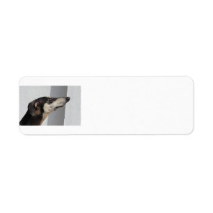 sloughi.png return address label