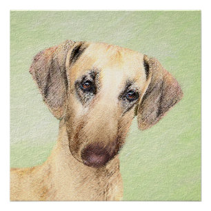 Sloughis Painting - Cute Original Dog Art Poster