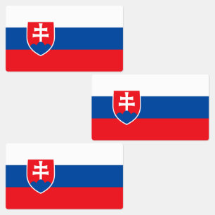 Slovakia Flag
