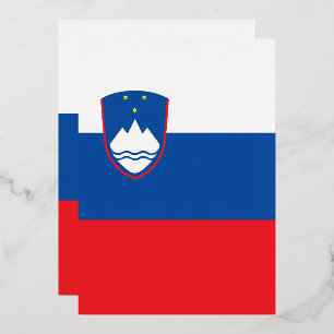 Slovenia flag