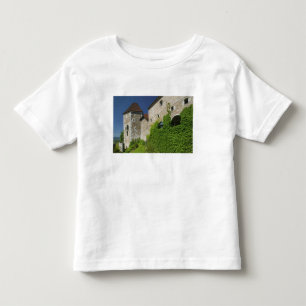 SLOVENIA, Ljubljana: Castle Hill / Ljubljana Toddler T-Shirt