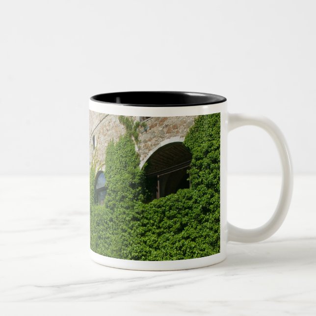 SLOVENIA, Ljubljana: Castle Hill / Ljubljana Two-Tone Coffee Mug (Right)
