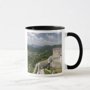 SLOVENIA, STAJERSKA Styria), Celje: Town View Mug