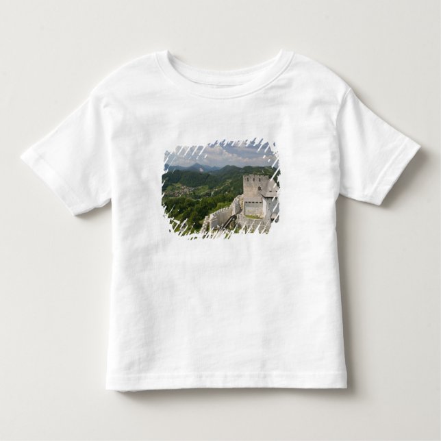 SLOVENIA, STAJERSKA Styria), Celje: Town View Toddler T-Shirt (Front)
