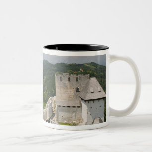 SLOVENIA, STAJERSKA Styria), Celje: Town View Two-Tone Coffee Mug