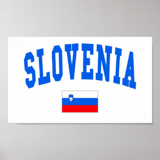Slovenia Style Poster