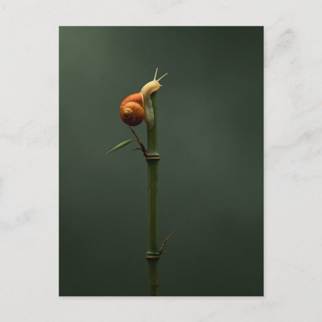 Slow and Steady Bamboo Climber Postcard (Front)