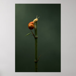 Slow and Steady Bamboo Climber Poster