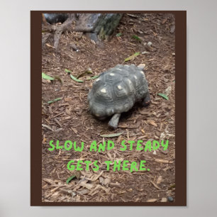 slow and steady gets there!  poster
