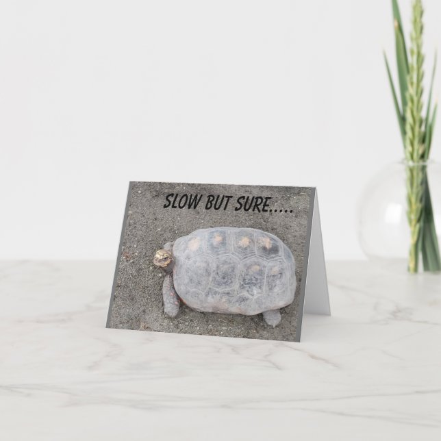 SLOW BUT SURE TURTLE SENDS *70th BIRTHDAY* WISHES Card (Front)