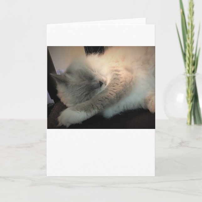 Slow Days, card (Front)