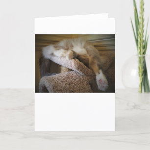 Slow Days, card