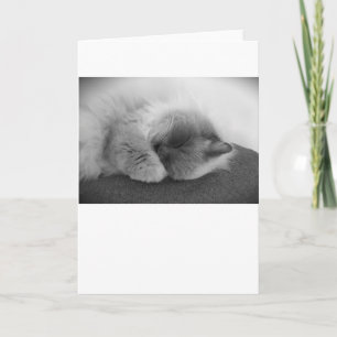 Slow Days, card
