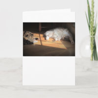 Slow Days, card