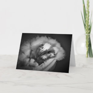 Slow Days, card