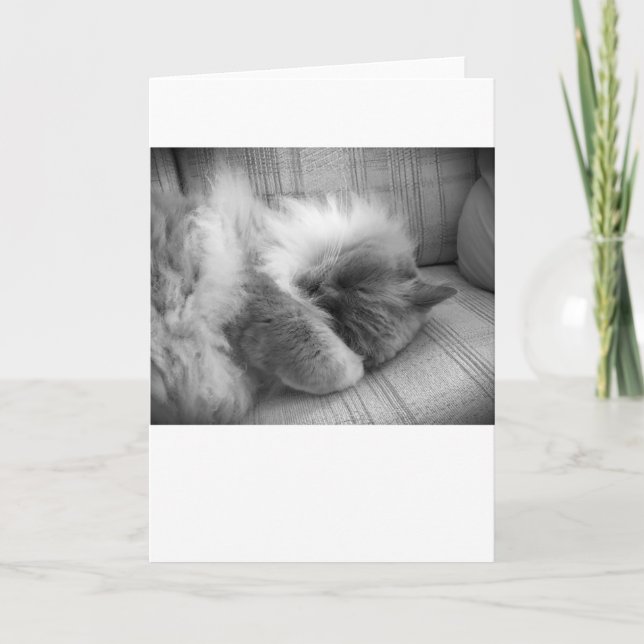 Slow Days, card (Front)