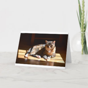 Slow Days, card