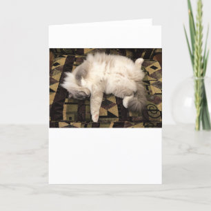 Slow Days, card