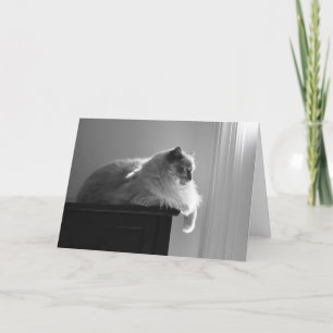 Slow Days, card
