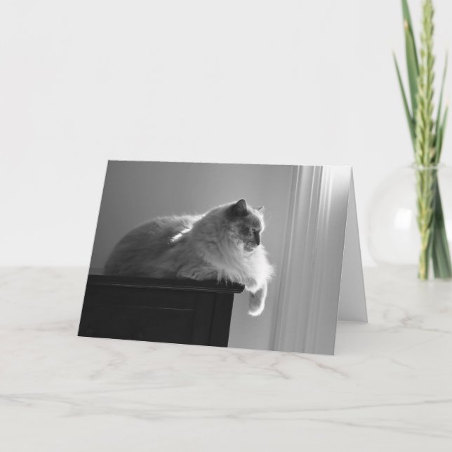 Slow Days, card (Front)