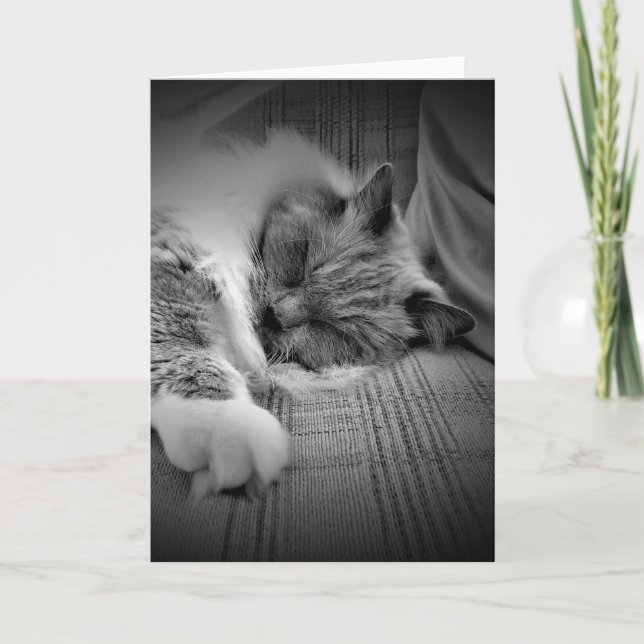 Slow Days, card (Front)