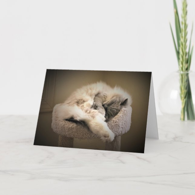 Slow Days, card (Front)