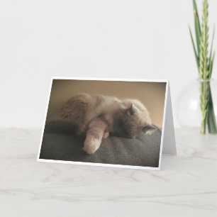 Slow Days, card
