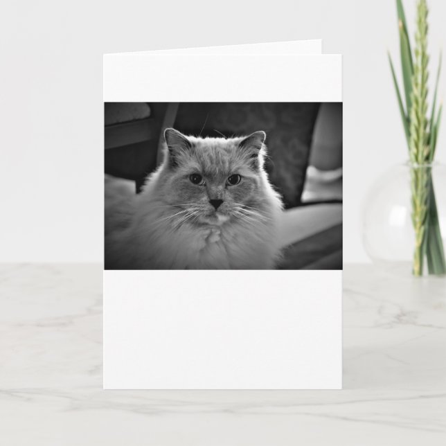 Slow Days, card (Front)