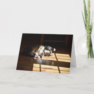 Slow Days, card