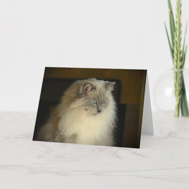 Slow Days, card (Front)