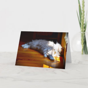 Slow Days, card