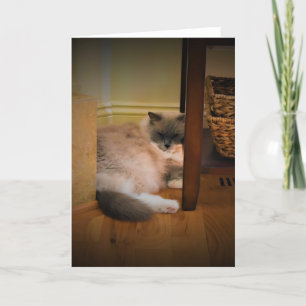 Slow Days, card