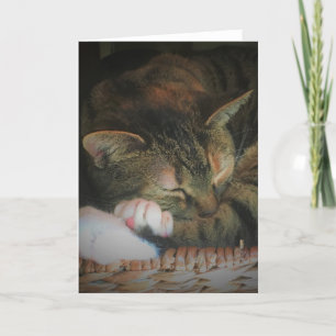 Slow Days, card