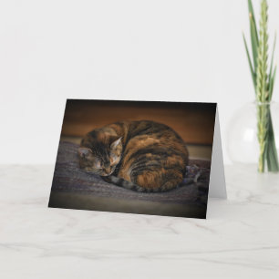 Slow Days, card