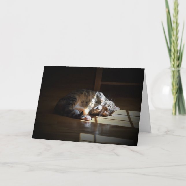 Slow Days, card (Front)