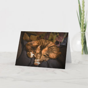 Slow Days, card