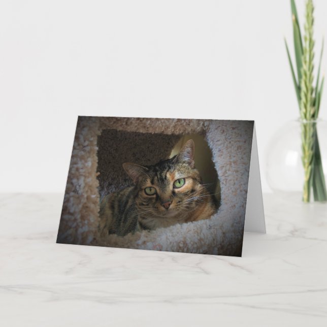 Slow Days, card (Front)