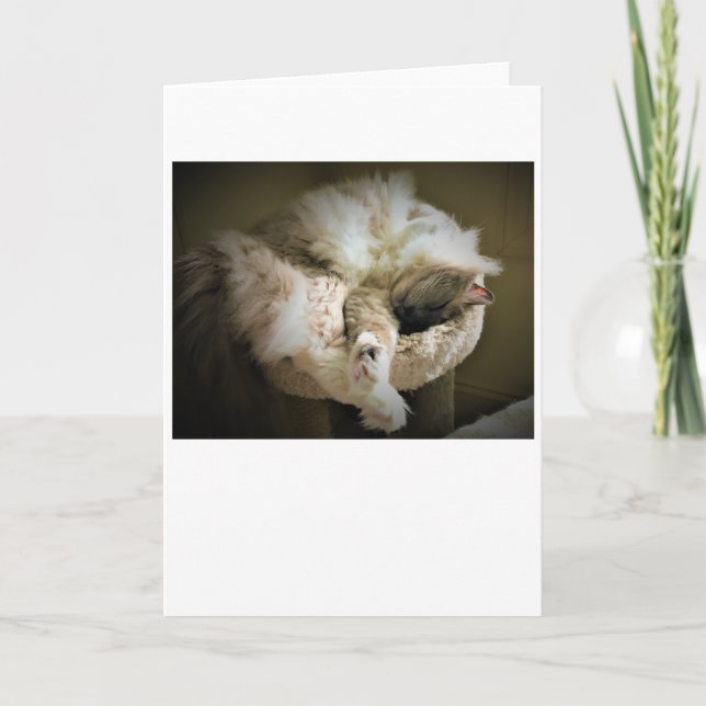 Slow Days, card (Front)