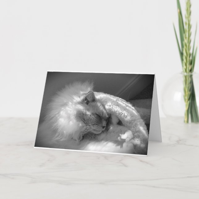 Slow Days, card (Front)